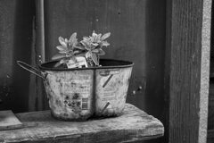 On The Sunny Side Of Town (Jan.28, 2024)