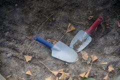 On The Sunny Side Of Town (Dec.28, 2023)