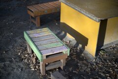 On The Sunny Side Of Town (Dec.28, 2023)