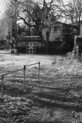 On The Sunny Side Of Town (Jan.19, 2024)