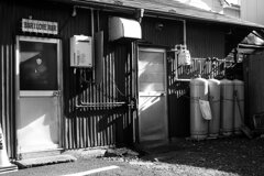 On The Sunny Side Of Town (Jan.15, 2024)