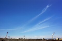 蒲生干潟（宮城県仙台市）Jan.14, 2024