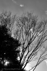 On The Sunny Side Of Town (Dec.17, 2023)