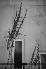 On The Sunny Side Of Town (Dec.23, 2023)