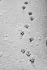 On The Sunny Side Of Town (Jan.16, 2024)