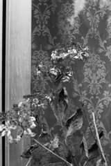 On The Sunny Side Of Town (Jan.8, 2024)