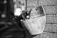 On The Sunny Side Of Town (Jan.28, 2024)