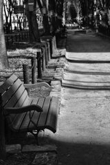 On The Sunny Side Of Town (Jan.2, 2024)