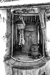 On The Sunny Side Of Town (Jan.26, 2024)