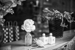 On The Sunny Side Of Town (Dec.30, 2023)