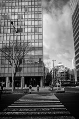 On The Sunny Side Of Town (Jan.27, 2024)