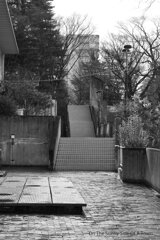 On The Sunny Side Of Town (Dec.17, 2023)