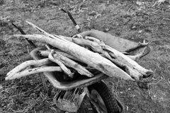 宮城県奥松島室浜(Jan.20,2024)