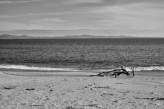 宮城県奥松島室浜(Jan.20,2024)