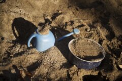 On The Sunny Side Of Town (Dec.28, 2023)