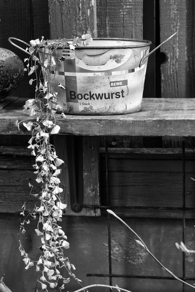 On The Sunny Side Of Town (Jan.28, 2024)