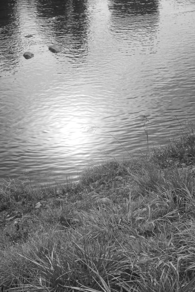 On The Sunny Side Of Town (Dec.24, 2023)