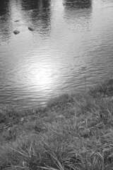 On The Sunny Side Of Town (Dec.24, 2023)