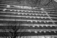 On The Sunny Side Of Town (Dec.23, 2023)