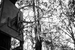 On The Sunny Side Of Town (Dec.18, 2023)