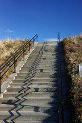 蒲生干潟（宮城県仙台市）Jan.14, 2024