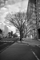 On The Sunny Side Of Town (Jan.27, 2024)