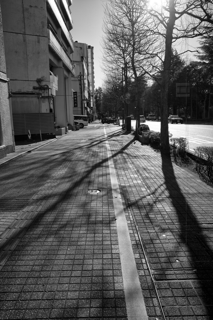 On The Sunny Side Of Town (Jan.5, 2024)