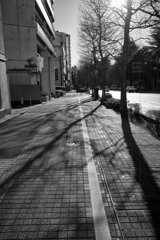 On The Sunny Side Of Town (Jan.5, 2024)