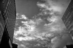 On The Sunny Side Of Town (Jan.27, 2024)