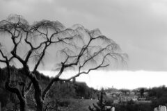 On The Sunny Side Of Town (Jan.24, 2024)