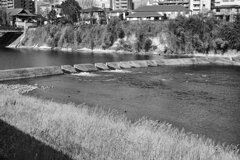 On The Sunny Side Of Town (Jan.19, 2024)