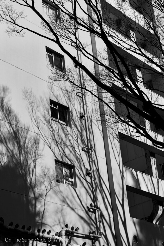On The Sunny Side Of Town (Dec.17, 2023)