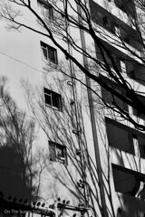 On The Sunny Side Of Town (Dec.17, 2023)