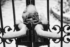 On The Sunny Side Of Town (Jan.16, 2024)