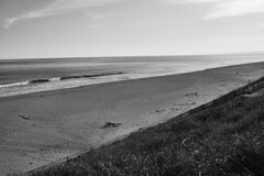 On The Sunny Side Of Town (Jan.14, 2024)