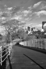 On The Sunny Side Of Town (Dec.26, 2023)