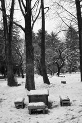 On The Sunny Side Of Town (Jan.26, 2024)