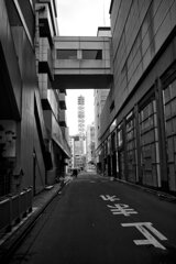 On The Sunny Side Of Town (Jan.27, 2024)