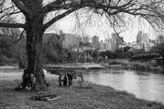 On The Sunny Side Of Town (Dec.24, 2023)