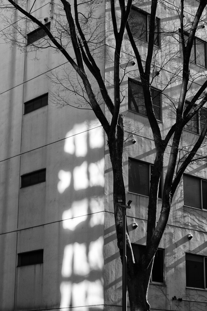 On The Sunny Side Of Town (Jan.2, 2024)