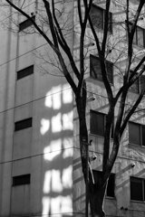 On The Sunny Side Of Town (Jan.2, 2024)