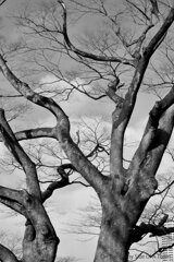 On The Sunny Side Of Town (Dec.17, 2023)