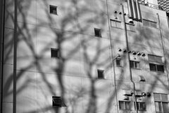 On The Sunny Side Of Town (Dec.21, 2023)