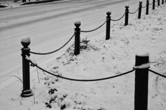 On The Sunny Side Of Town (Jan.16, 2024)