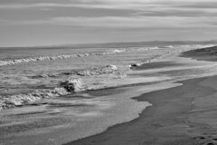 On The Sunny Side Of Town (Jan.14, 2024)