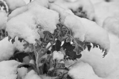 On The Sunny Side Of Town (Jan.16, 2024)