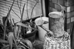 On The Sunny Side Of Town (Dec.30, 2023)