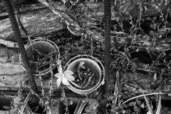 On The Sunny Side Of Town (Jan.28, 2024)