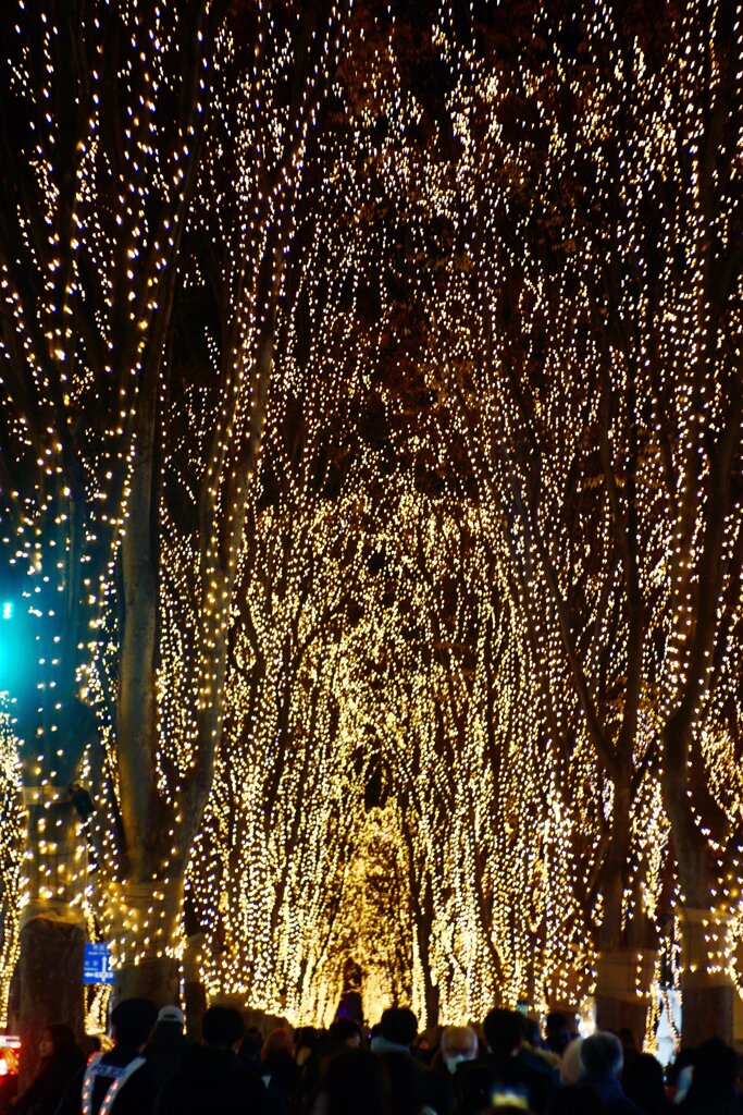 The Sendai Pageant of Starlight