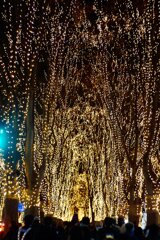The Sendai Pageant of Starlight